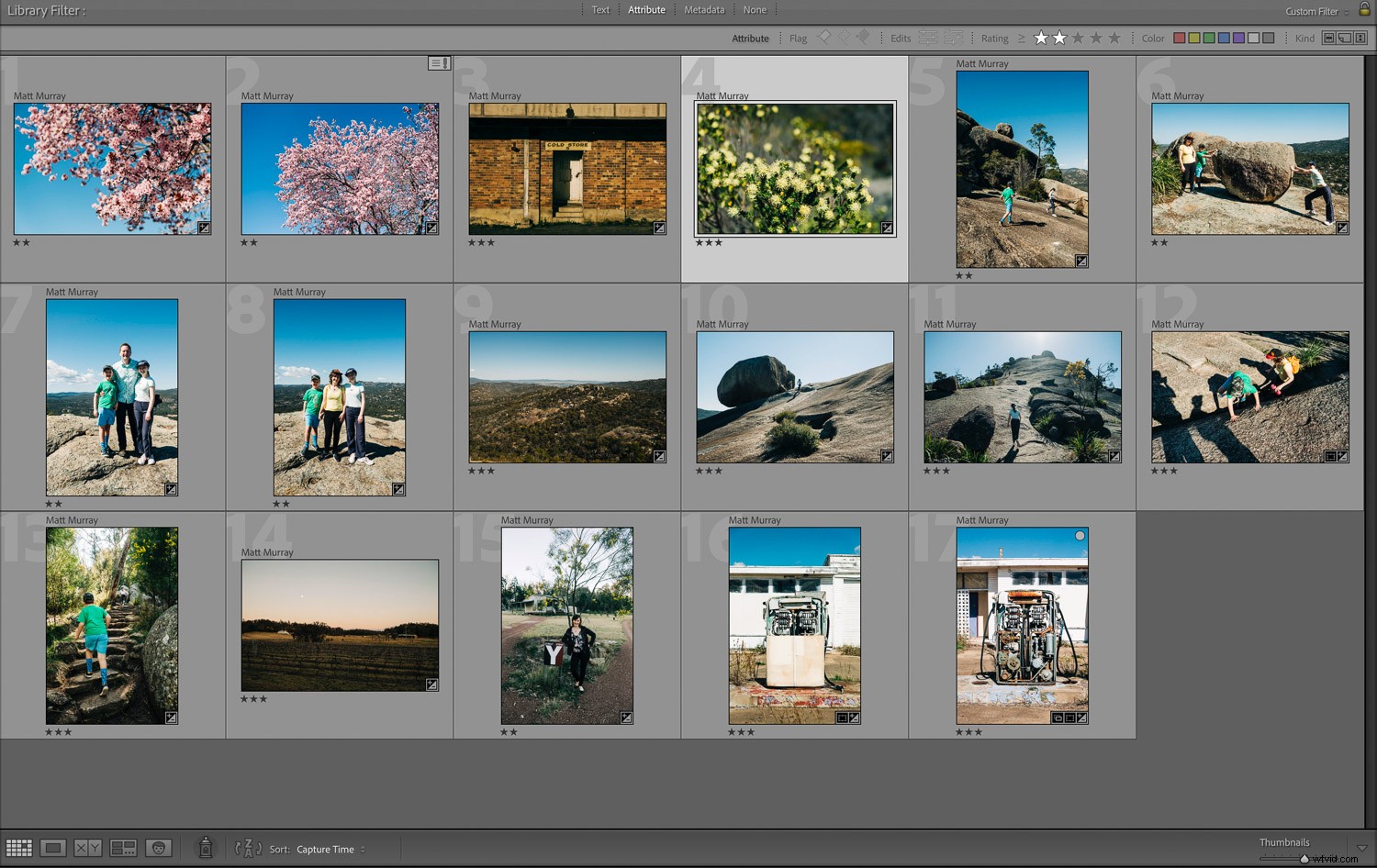 Lightroom Classic vs. Adobe Bridge: Which is Best for Your Workflow in 2024?