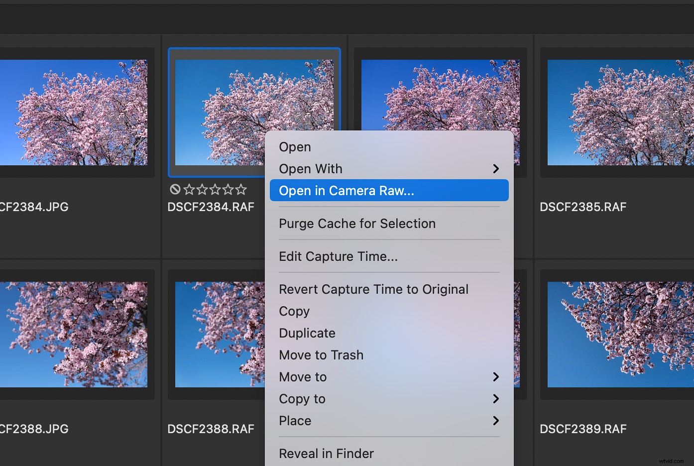 Lightroom Classic vs. Adobe Bridge: Which is Best for Your Workflow in 2024?