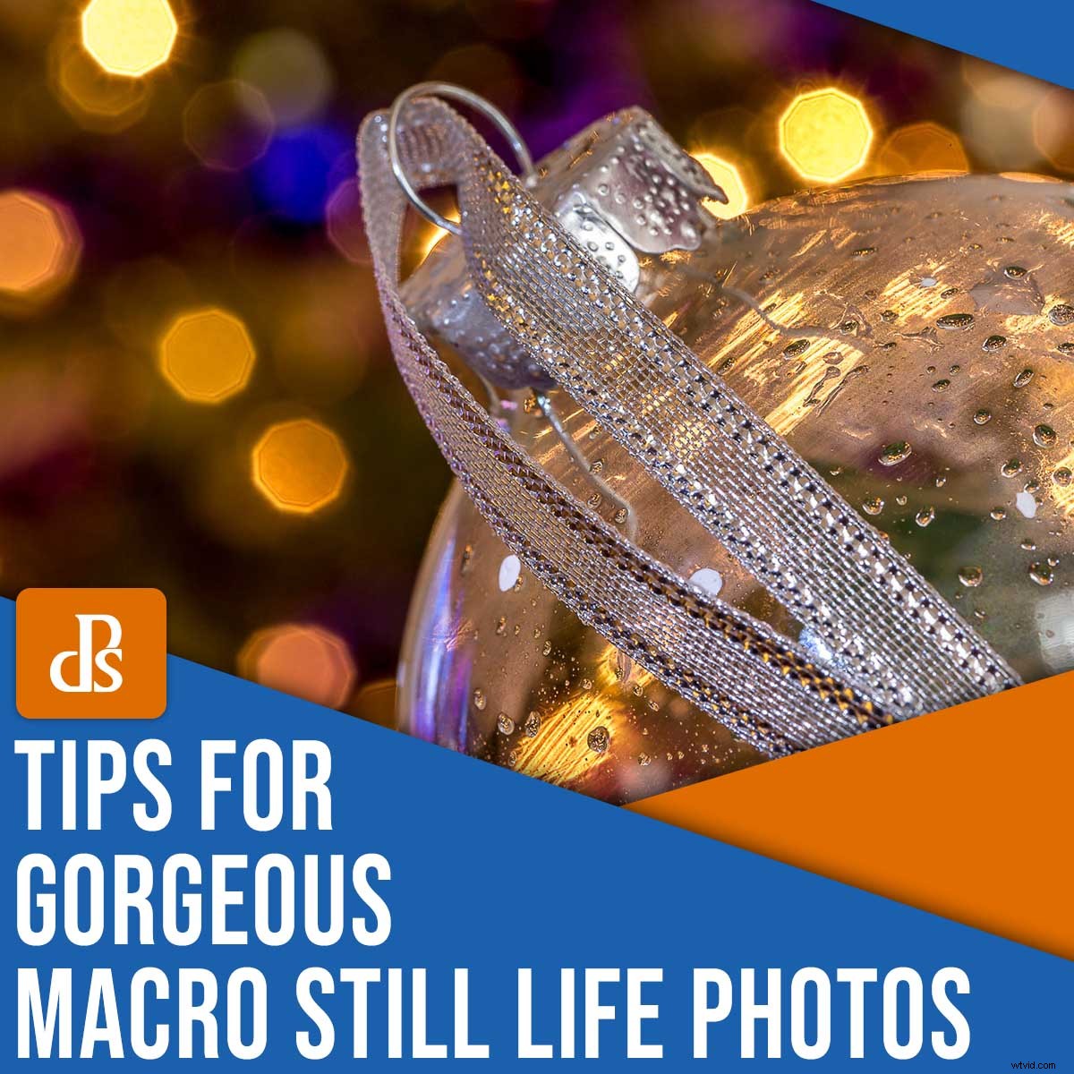 9 Expert Tips for Stunning Macro Still Life Photography