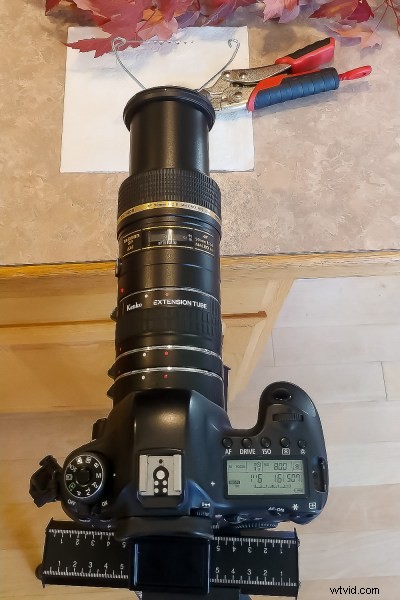 9 Expert Tips for Stunning Macro Still Life Photography