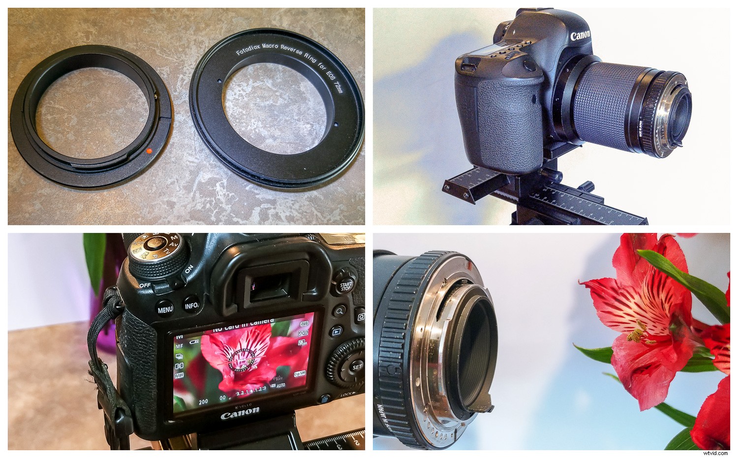 9 Expert Tips for Stunning Macro Still Life Photography