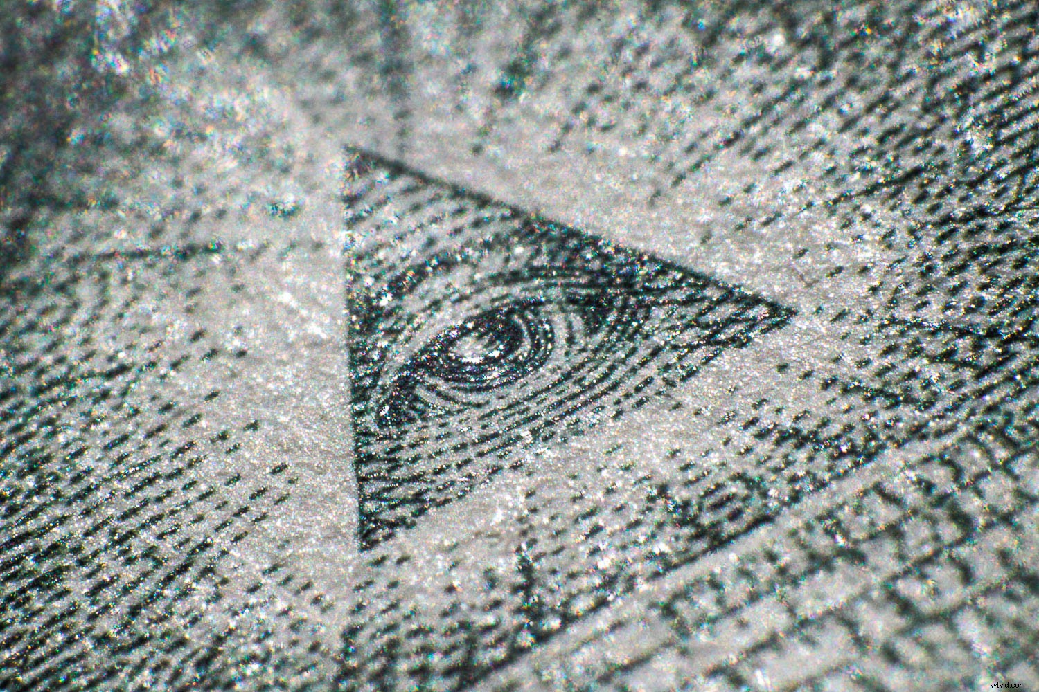 9 Expert Tips for Stunning Macro Still Life Photography