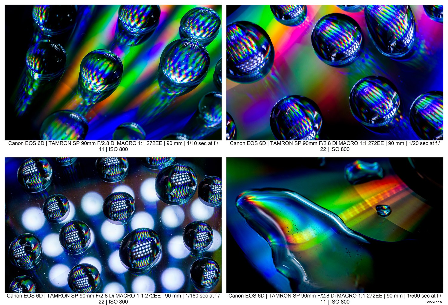 9 Expert Tips for Stunning Macro Still Life Photography