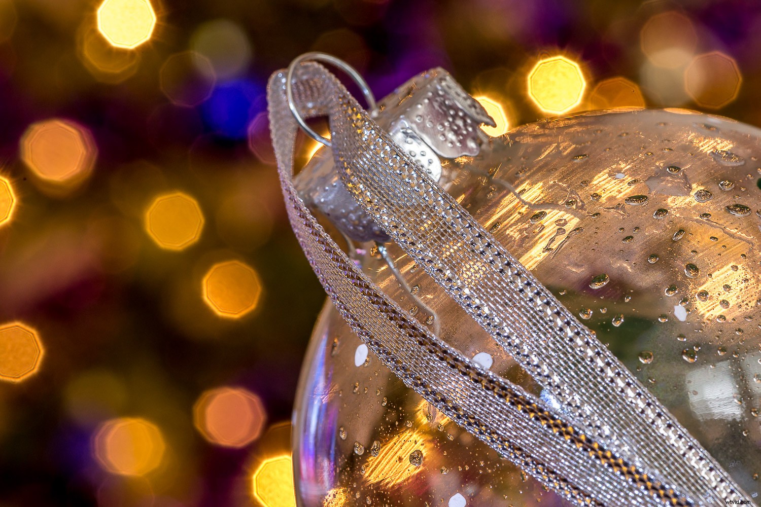 9 Expert Tips for Stunning Macro Still Life Photography