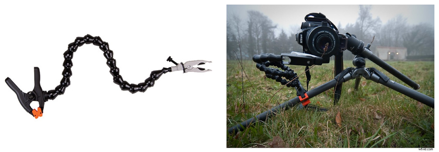 9 Expert Tips for Stunning Macro Still Life Photography