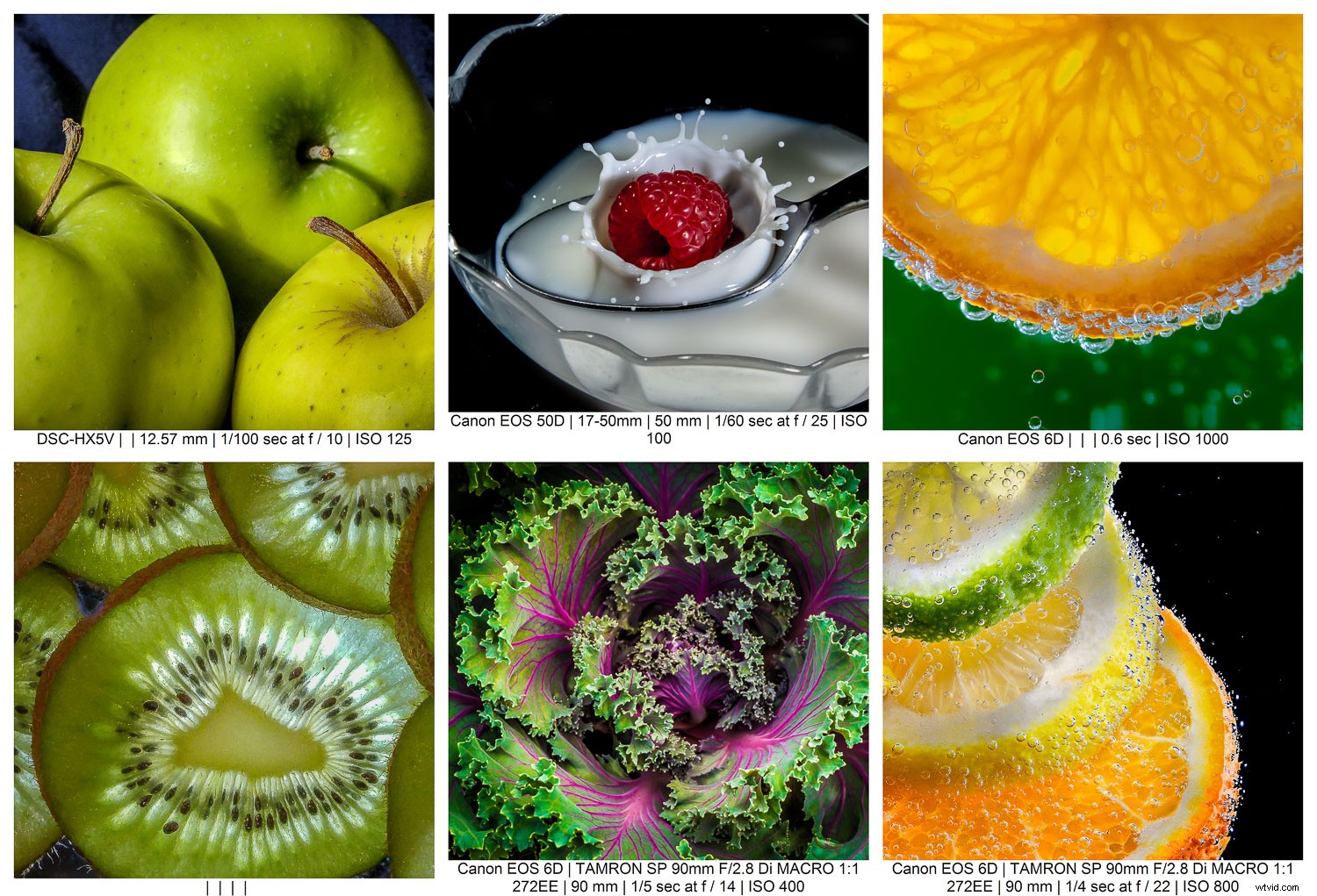 9 Expert Tips for Stunning Macro Still Life Photography