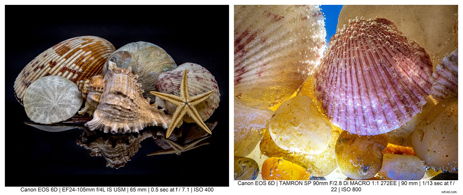 9 Expert Tips for Stunning Macro Still Life Photography
