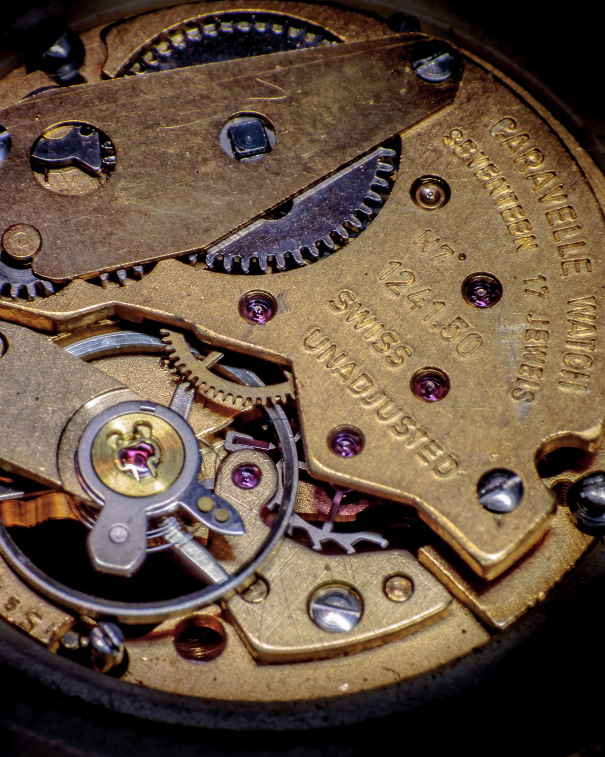 9 Expert Tips for Stunning Macro Still Life Photography