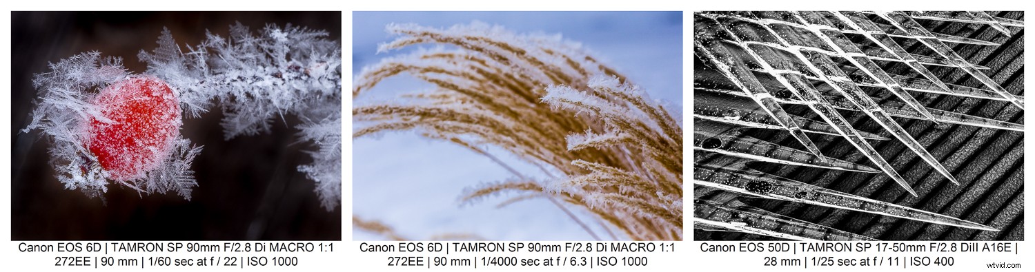 9 Expert Tips for Stunning Macro Still Life Photography