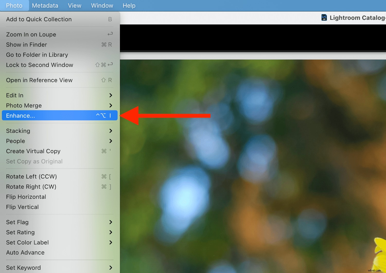 Lightroom Super Resolution: The Essential Guide to 4x Image Upscaling