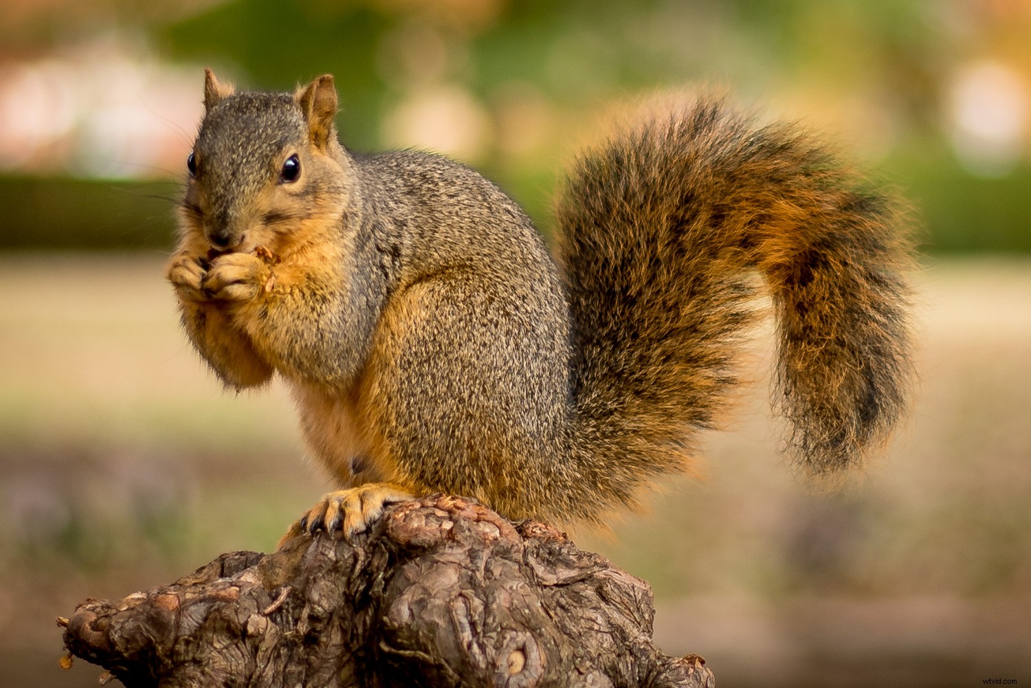 Lightroom Super Resolution: The Essential Guide to 4x Image Upscaling