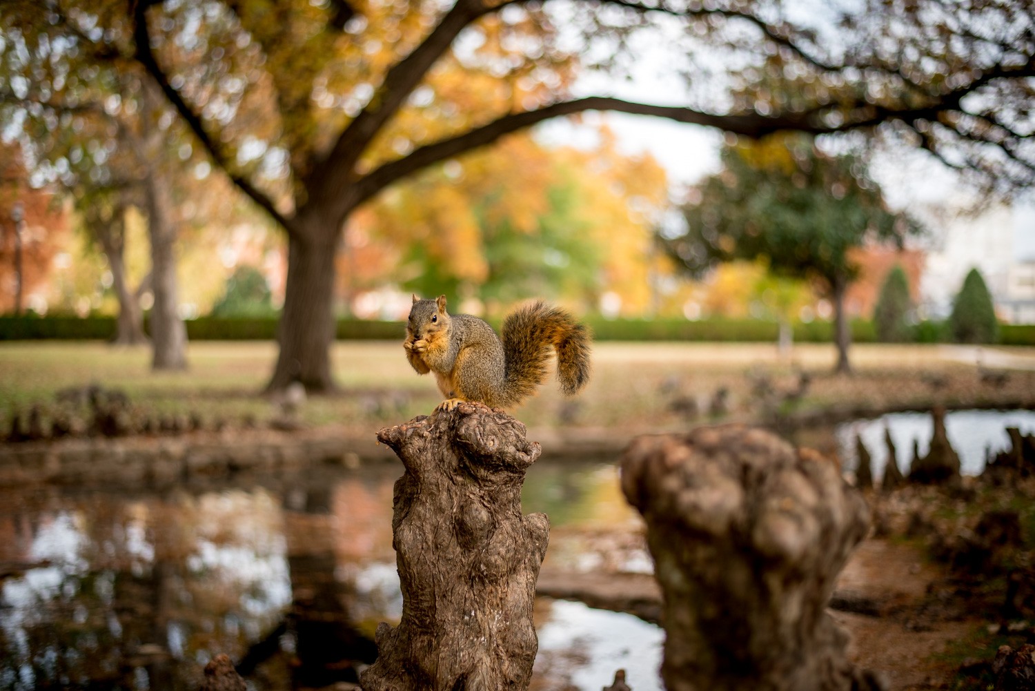 Lightroom Super Resolution: The Essential Guide to 4x Image Upscaling