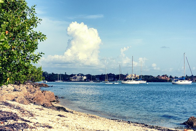 5 Compelling Reasons to Use a 50mm Prime Lens for Landscape Photography