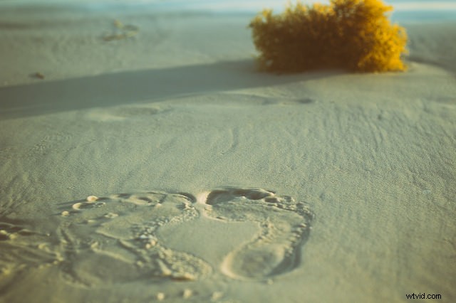 5 Compelling Reasons to Use a 50mm Prime Lens for Landscape Photography