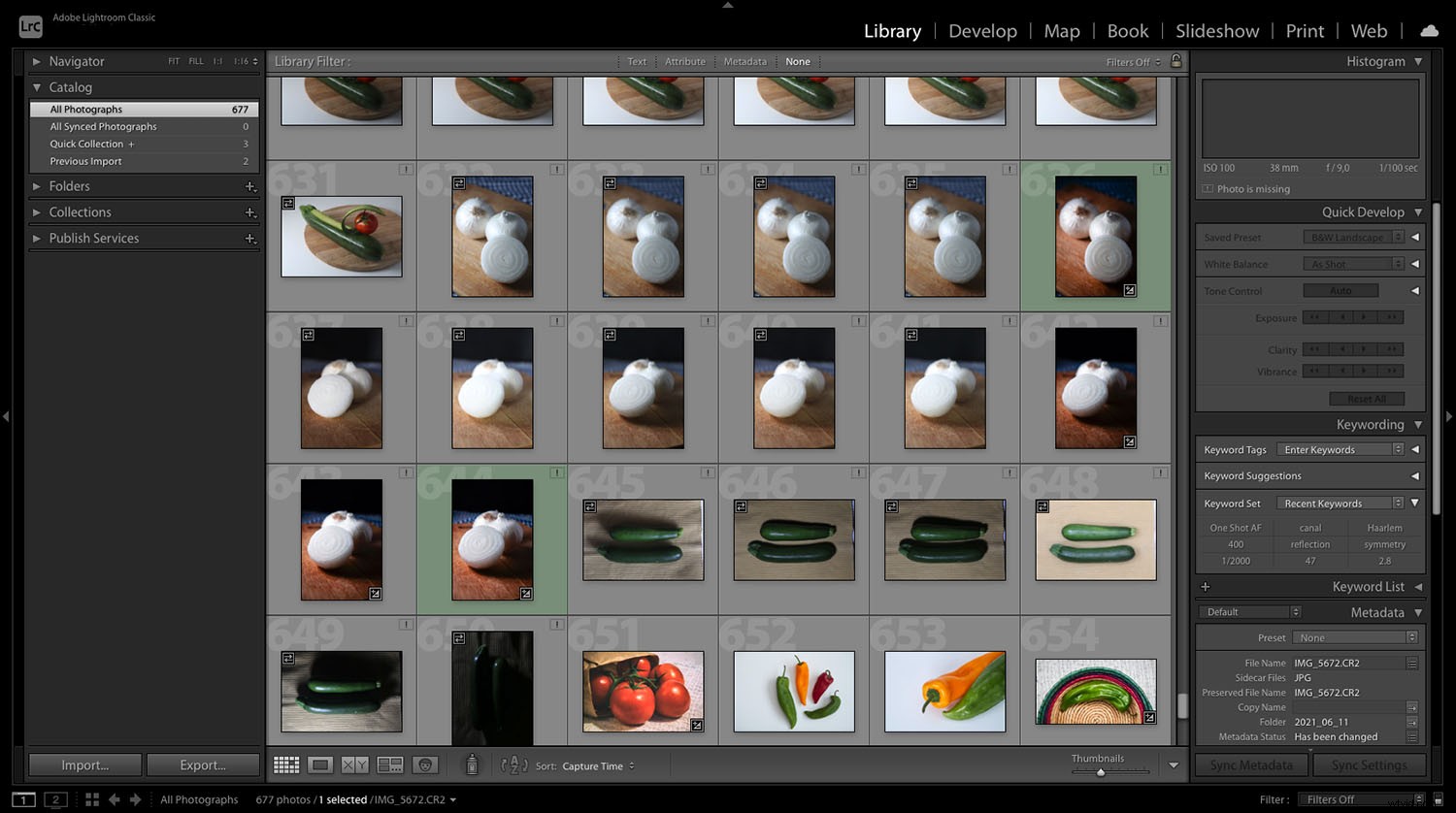 Lightroom vs. RawTherapee: In-Depth Comparison to Choose the Best Photo Editor