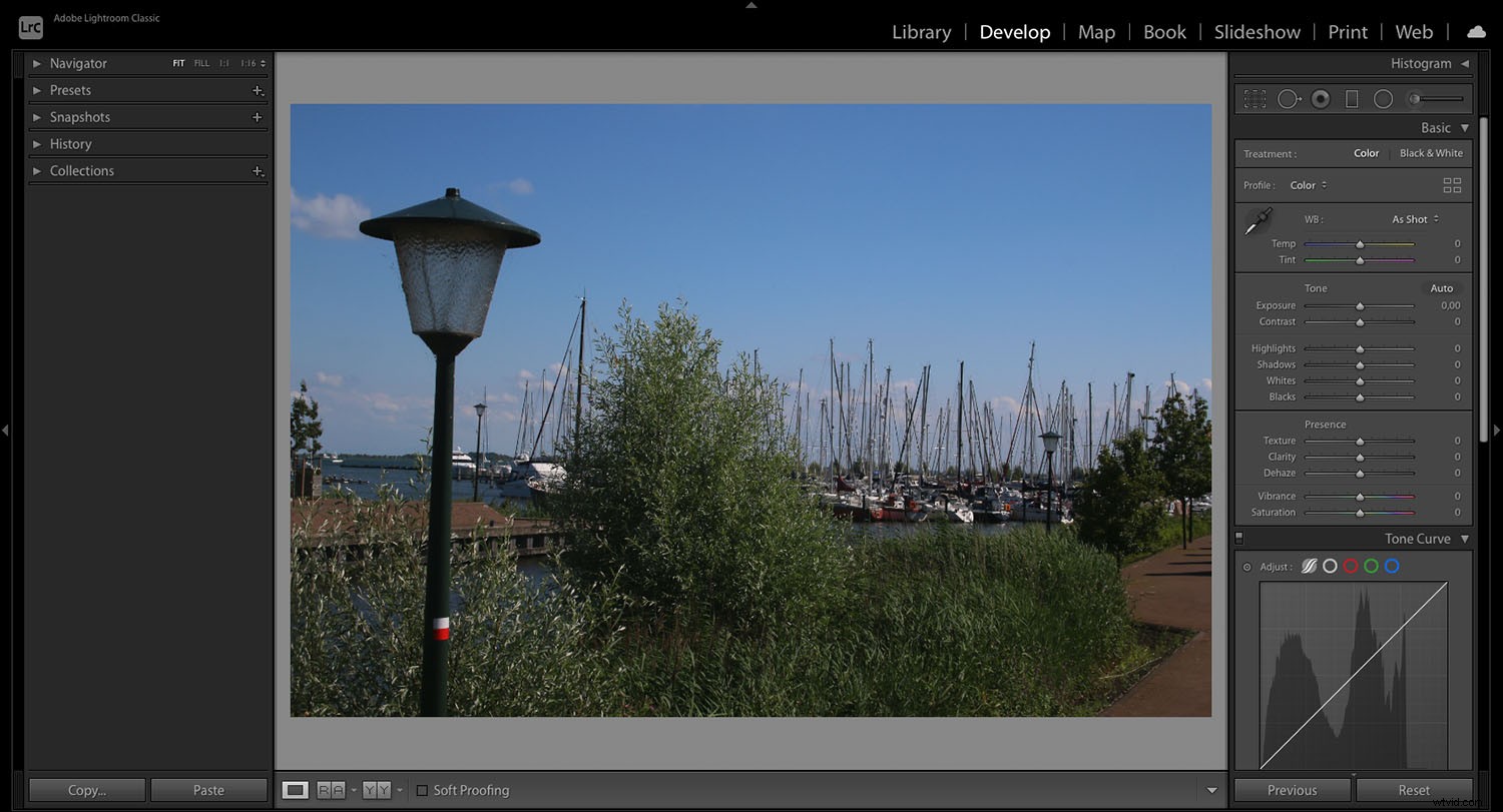 Lightroom vs. RawTherapee: In-Depth Comparison to Choose the Best Photo Editor