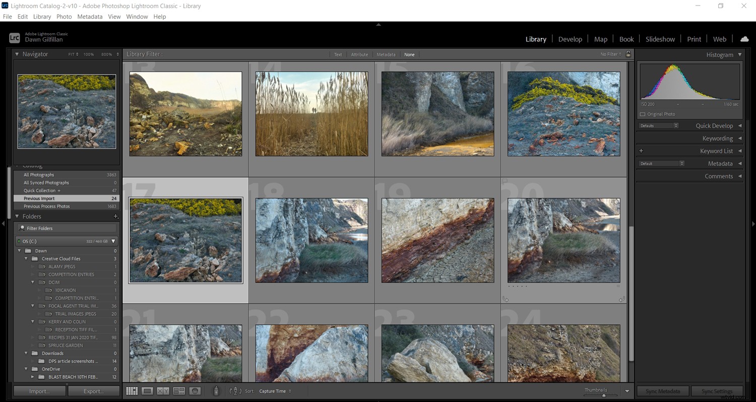 Lightroom vs. ON1 Photo RAW: In-Depth Comparison to Find Your Ideal Photo Editor