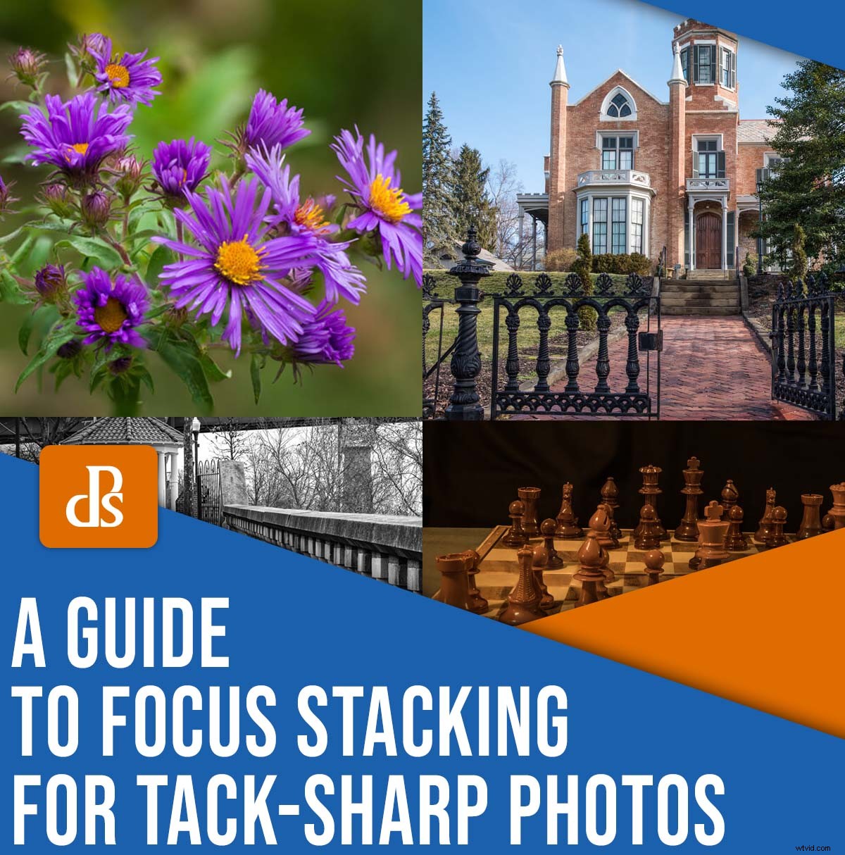 Master Focus Stacking: Ultimate Step-by-Step Guide for Razor-Sharp Photos
