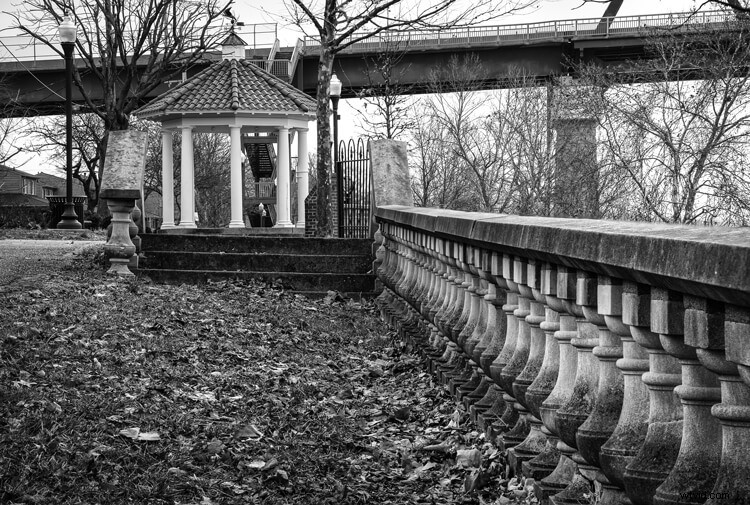 Master Focus Stacking: Ultimate Step-by-Step Guide for Razor-Sharp Photos