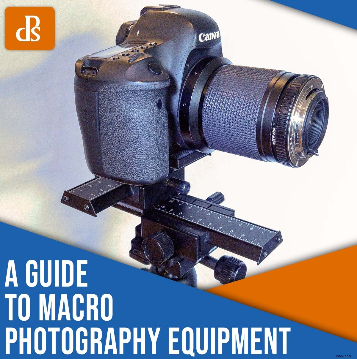 Ultimate Guide to Macro Photography Equipment: 10 Essential Tips