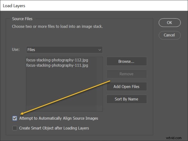 Master Focus Stacking: Ultimate Step-by-Step Guide for Razor-Sharp Photos