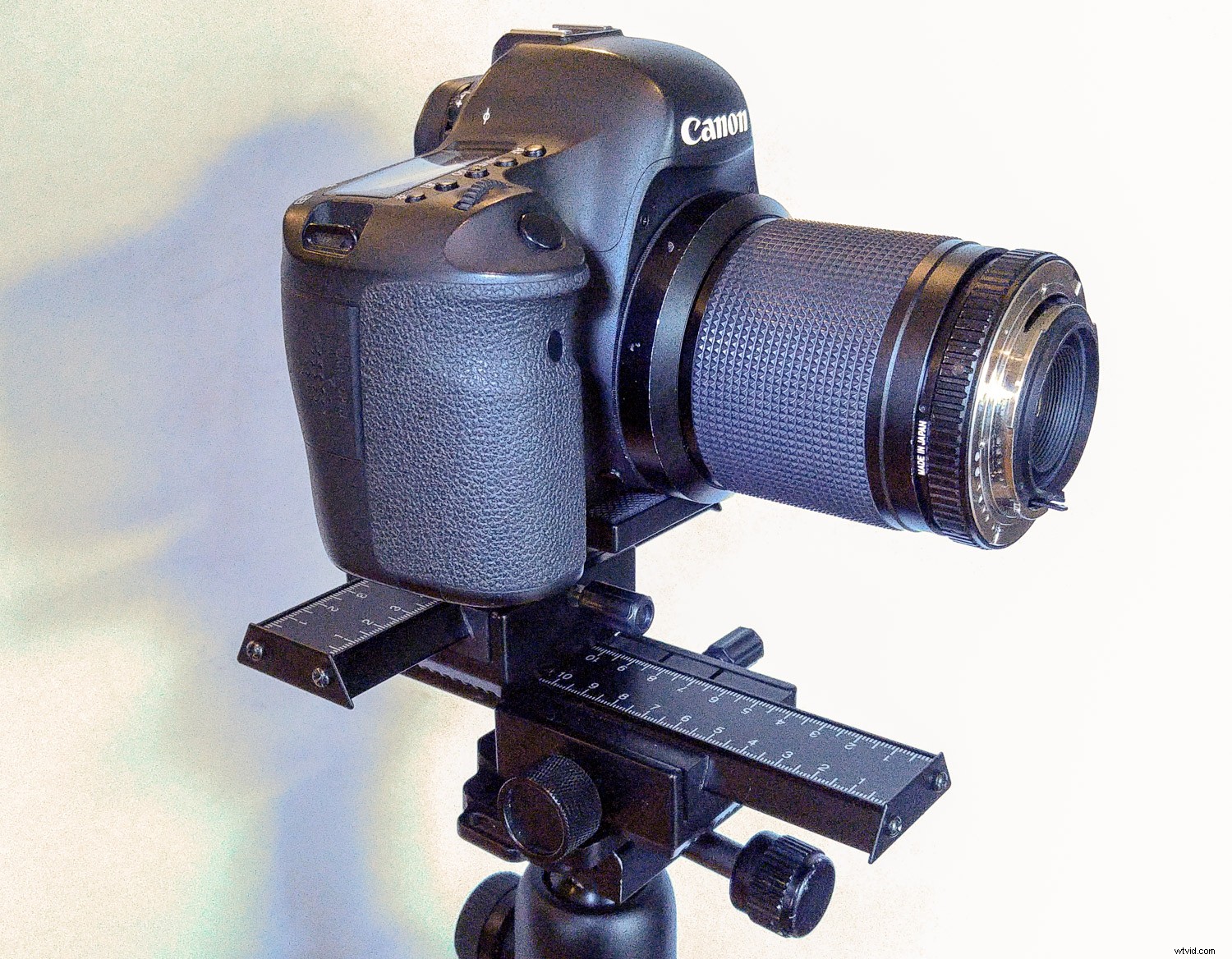 Ultimate Guide to Macro Photography Equipment: 10 Essential Tips