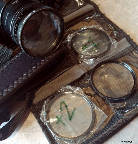 Ultimate Guide to Macro Photography Equipment: 10 Essential Tips