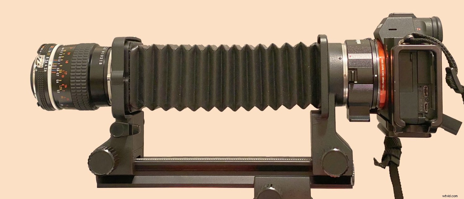 Ultimate Guide to Macro Photography Equipment: 10 Essential Tips