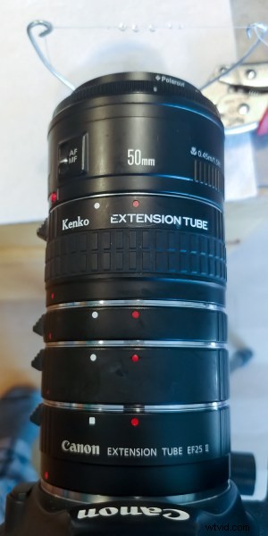 Ultimate Guide to Macro Photography Equipment: 10 Essential Tips