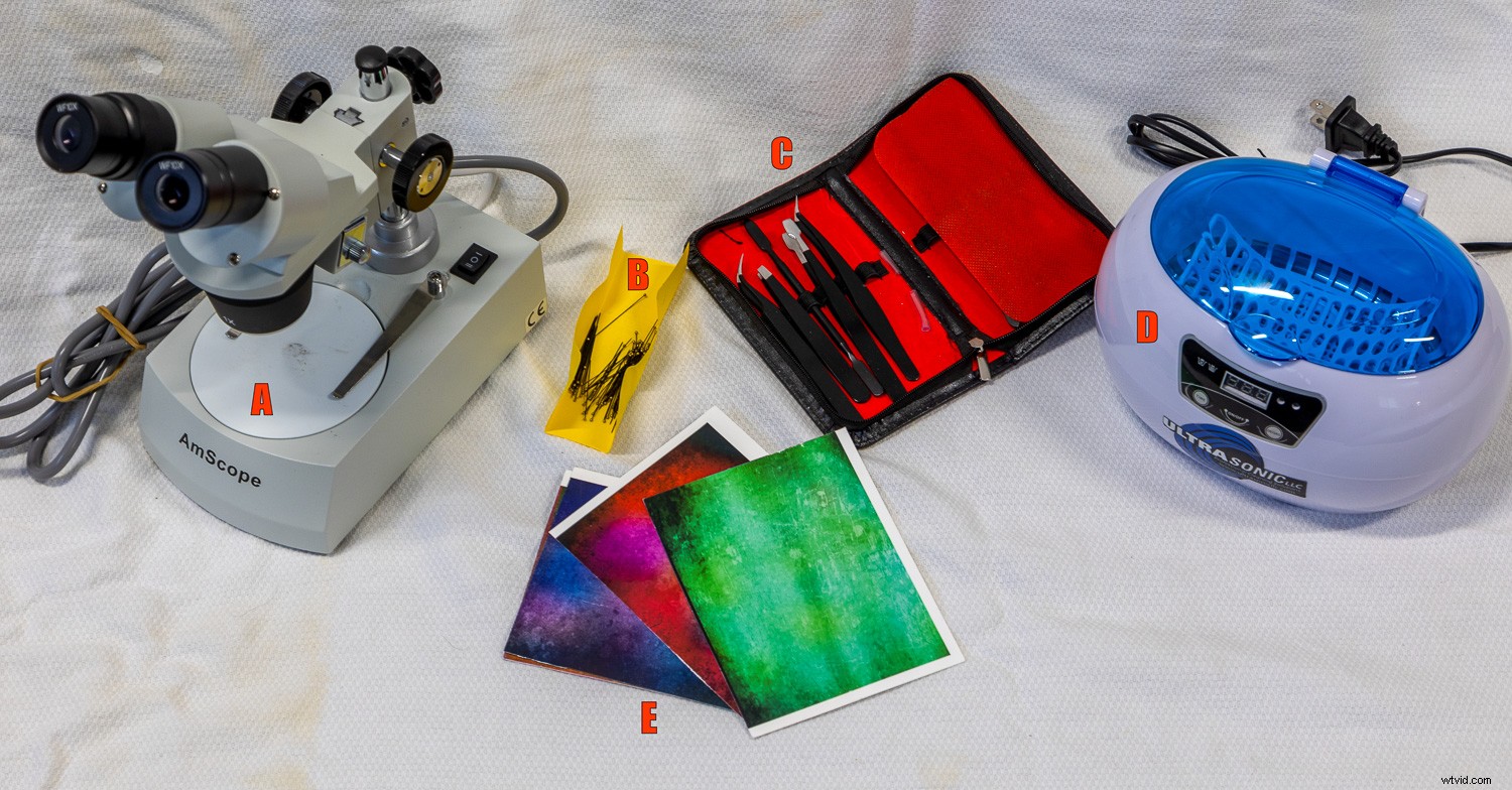 Ultimate Guide to Macro Photography Equipment: 10 Essential Tips