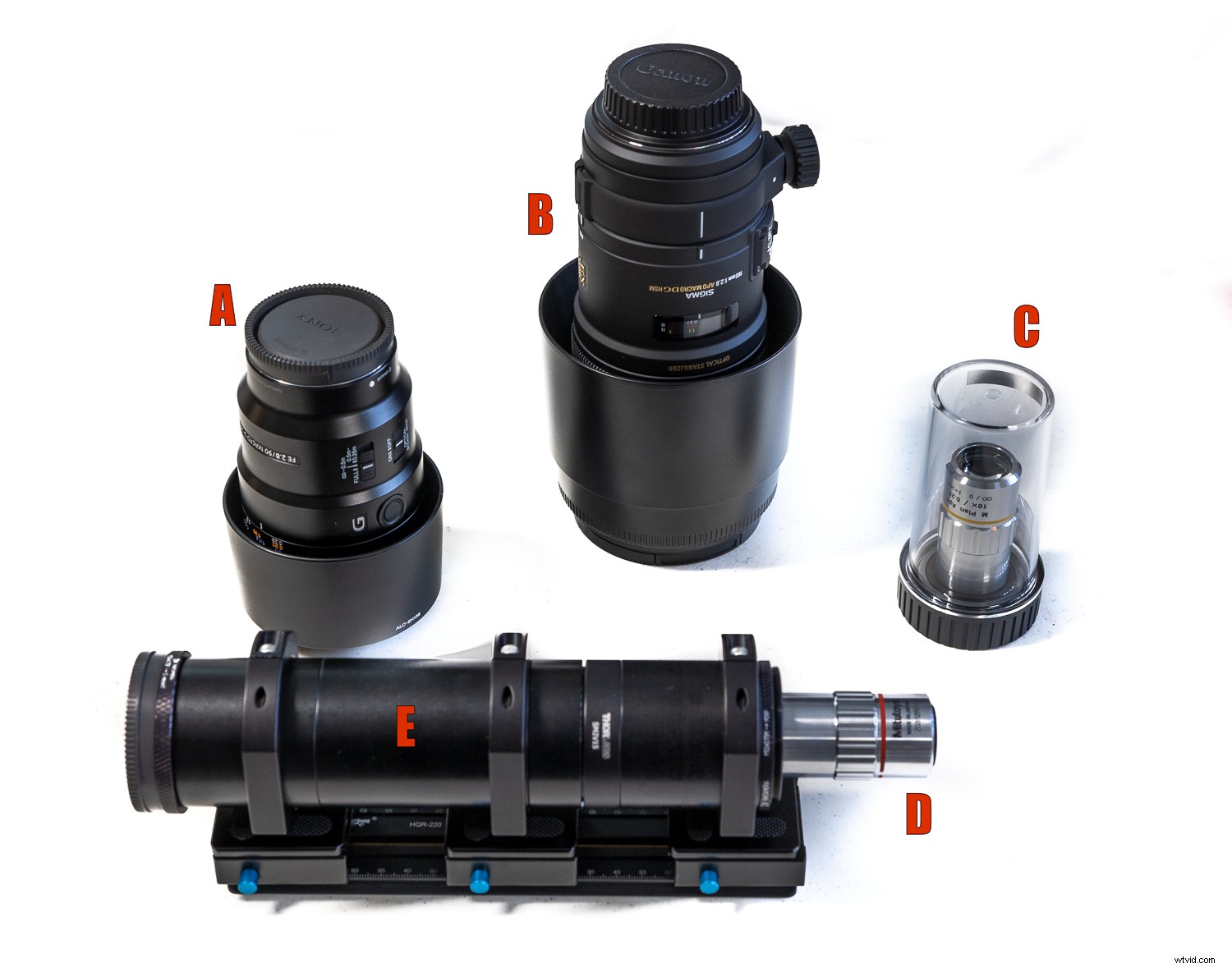 Ultimate Guide to Macro Photography Equipment: 10 Essential Tips