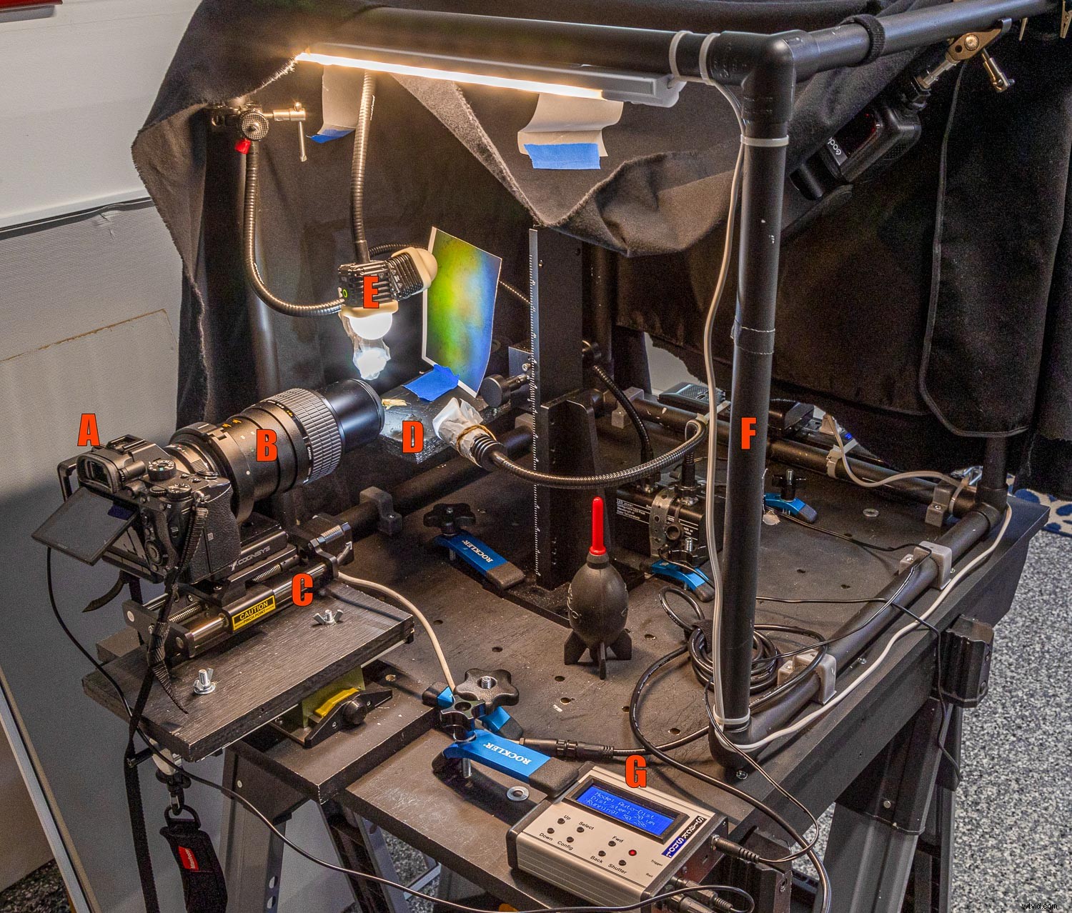 Ultimate Guide to Macro Photography Equipment: 10 Essential Tips