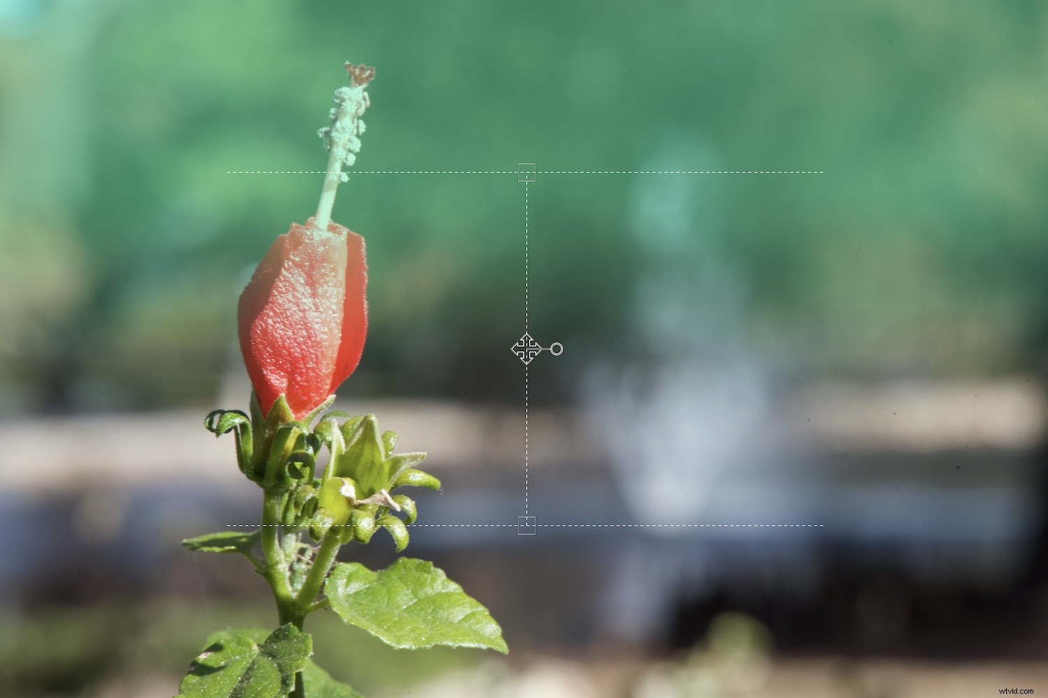 Lightroom Classic vs ACDSee Photo Studio: Which Photo Editor is Best for You?