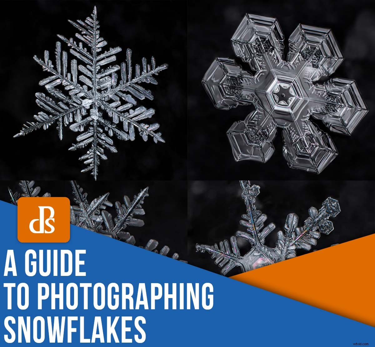Capture Stunning Snowflake Macro Photos: Expert Step-by-Step Guide