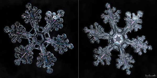 Capture Stunning Snowflake Macro Photos: Expert Step-by-Step Guide