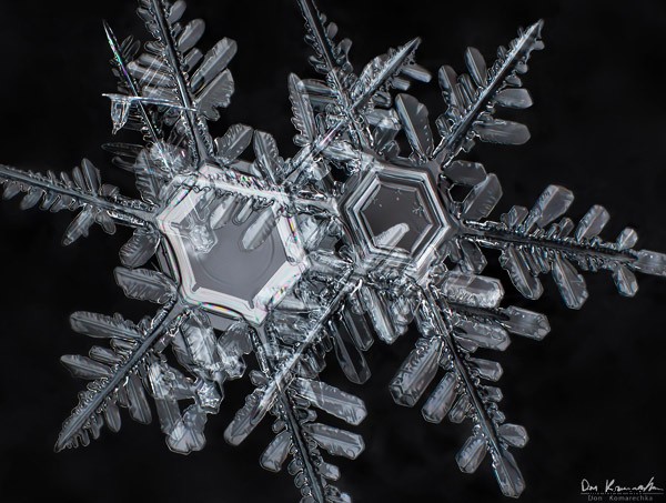 Capture Stunning Snowflake Macro Photos: Expert Step-by-Step Guide