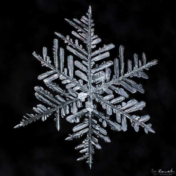 Capture Stunning Snowflake Macro Photos: Expert Step-by-Step Guide