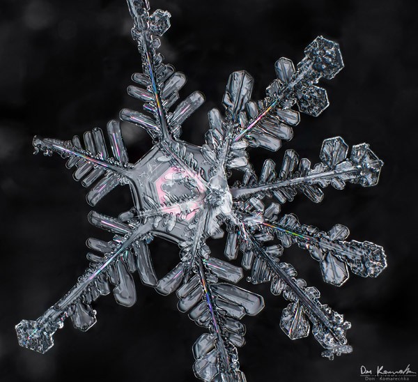 Capture Stunning Snowflake Macro Photos: Expert Step-by-Step Guide