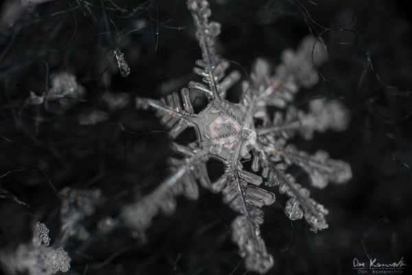 Capture Stunning Snowflake Macro Photos: Expert Step-by-Step Guide