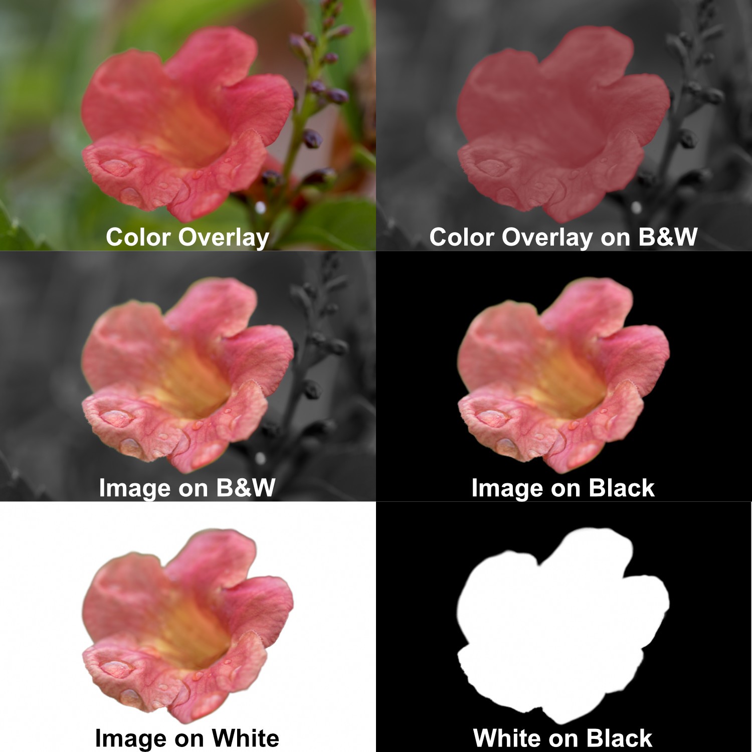 Master Lightroom s Revolutionary Masking Tools: Complete Guide to New Features