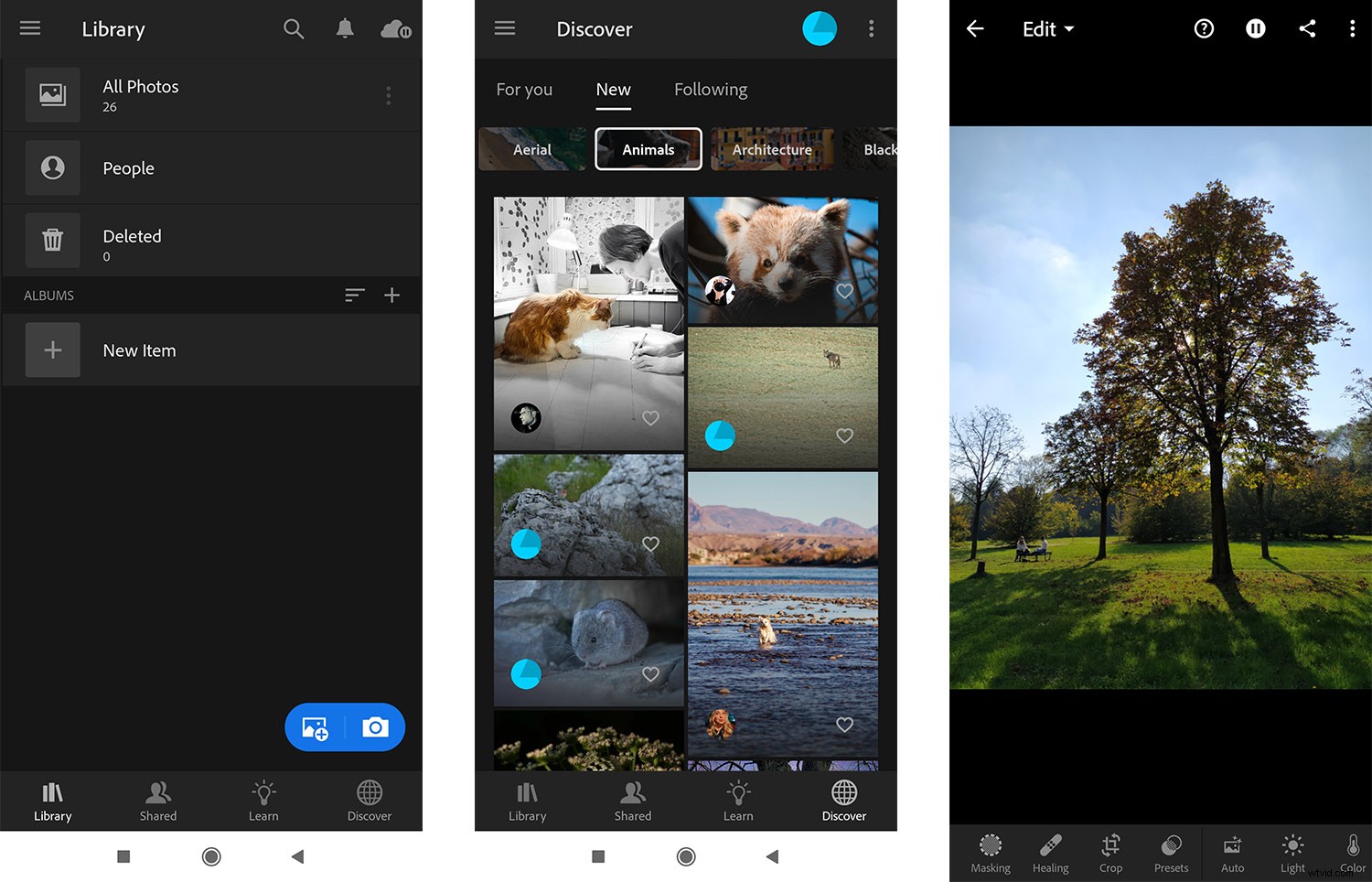 Lightroom vs. VSCO: Ultimate Comparison to Find the Best Photo Editing App