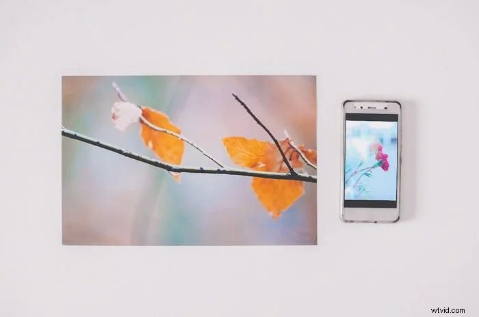 Master Adobe Lightroom: The Ultimate Guide to Pro Tips & Techniques