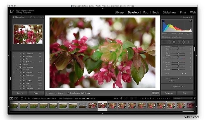 Master Adobe Lightroom: The Ultimate Guide to Pro Tips & Techniques