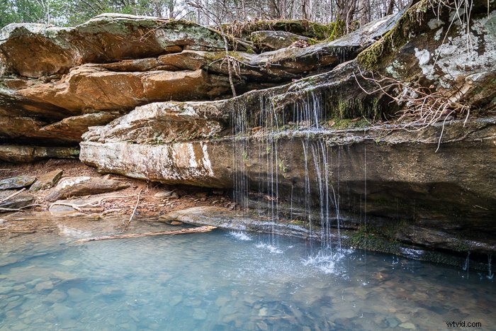 Create Stunning Watercolor Effects in Photoshop: Easy Step-by-Step Guide