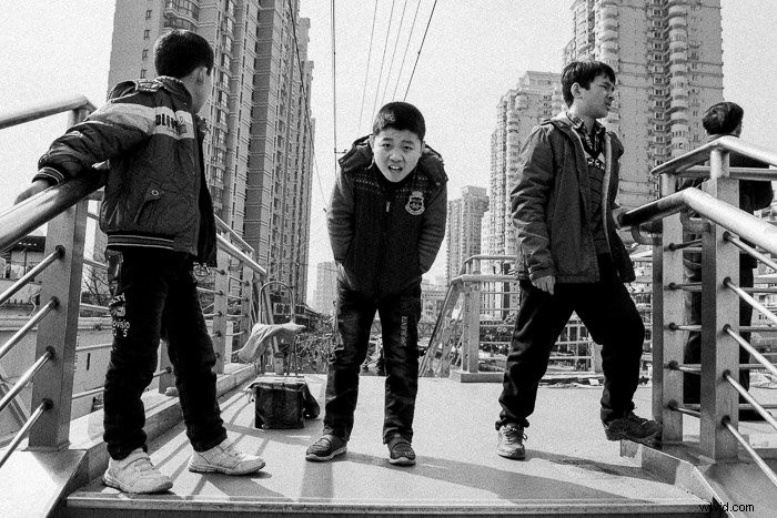 Mastin Labs Ilford B&W Lightroom Presets: Honest Expert Review