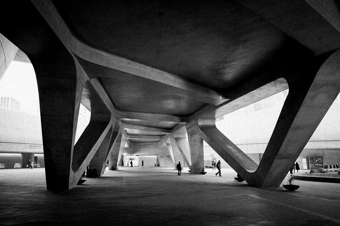 Mastin Labs Ilford B&W Lightroom Presets: Honest Expert Review