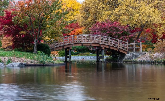 Create and Sell Lightroom Presets: Ultimate Step-by-Step Guide for Photographers