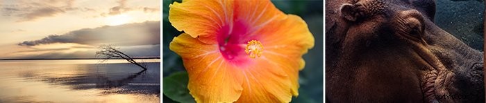 Create and Sell Lightroom Presets: Ultimate Step-by-Step Guide for Photographers