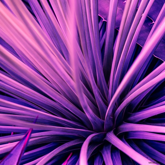 Master Lightroom s Color Grading Tool: Transform Photos Like a Pro