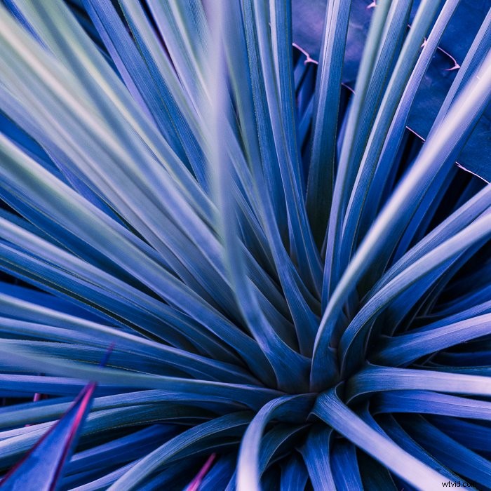 Master Lightroom s Color Grading Tool: Transform Photos Like a Pro